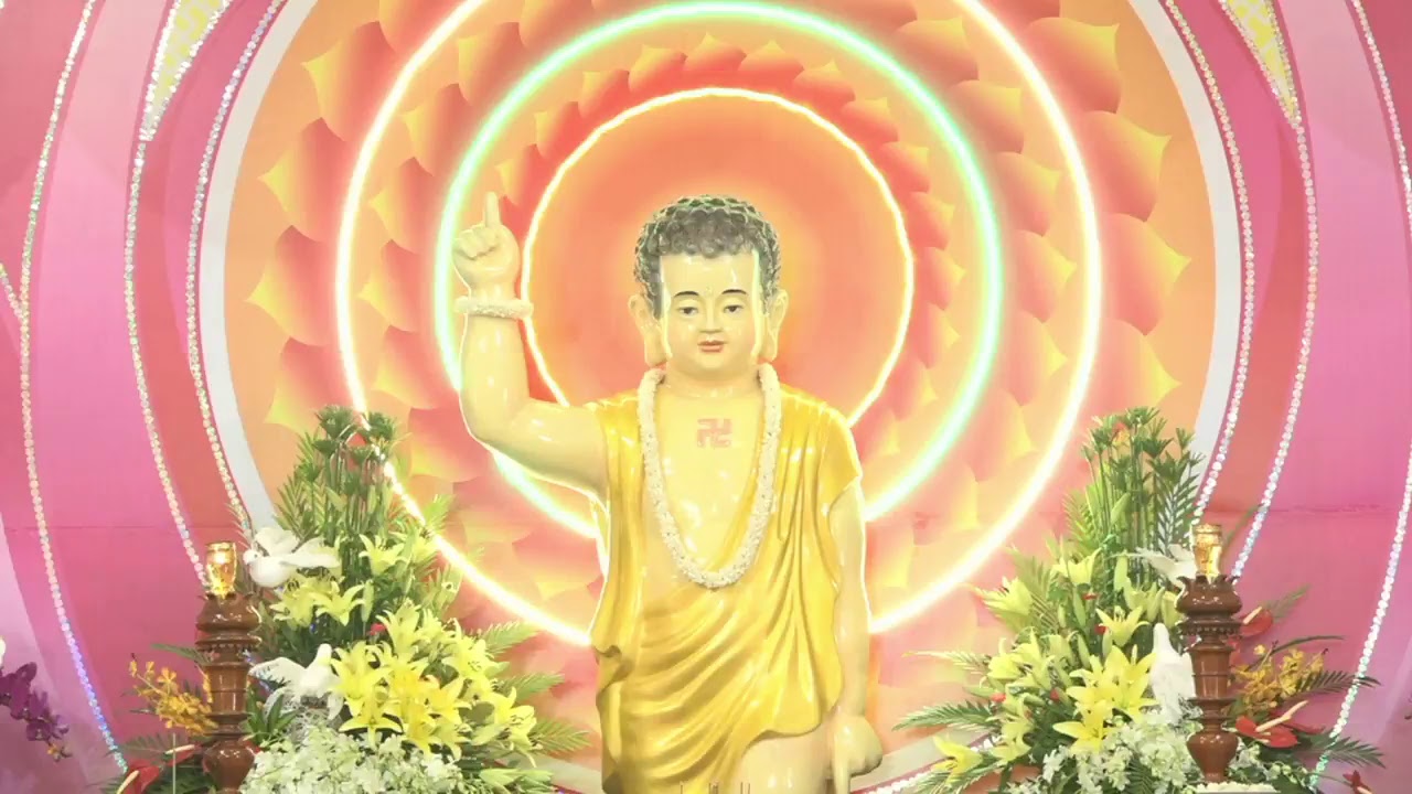 LONG AN: ĐẠI LỄ PHẬT ĐẢN PL: 2562 – DL 2018