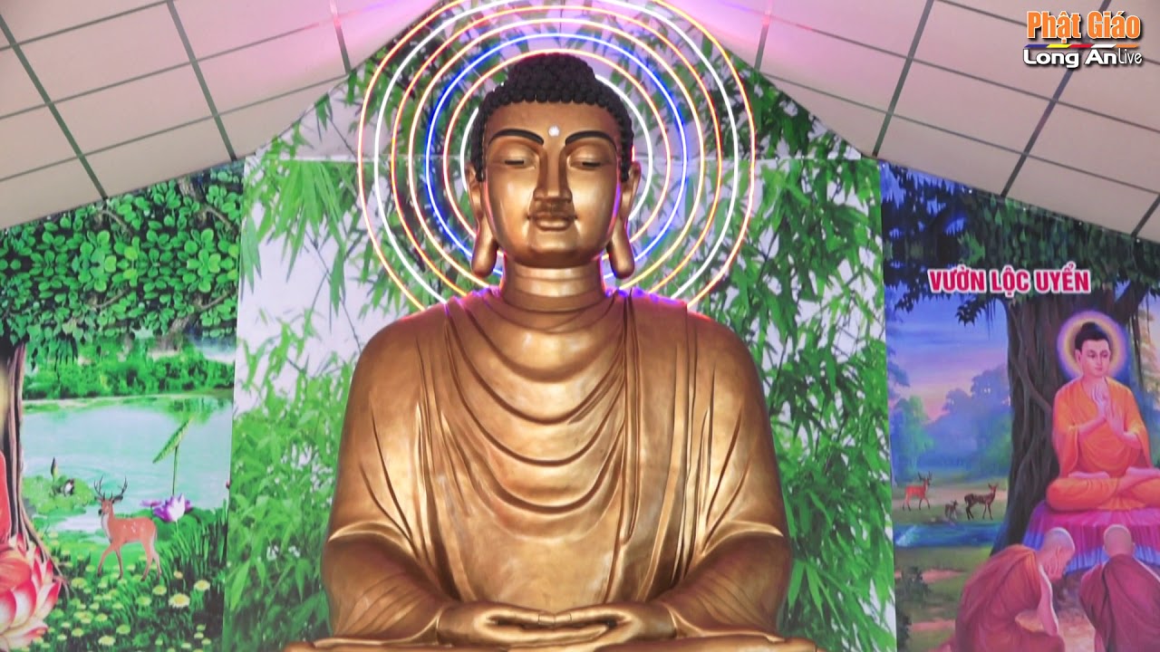 Huyện Thạnh Hoá: Chùa Phổ Minh tổ chức Lễ An vị Tôn Tượng Đức Phật Thích Ca Mâu Ni