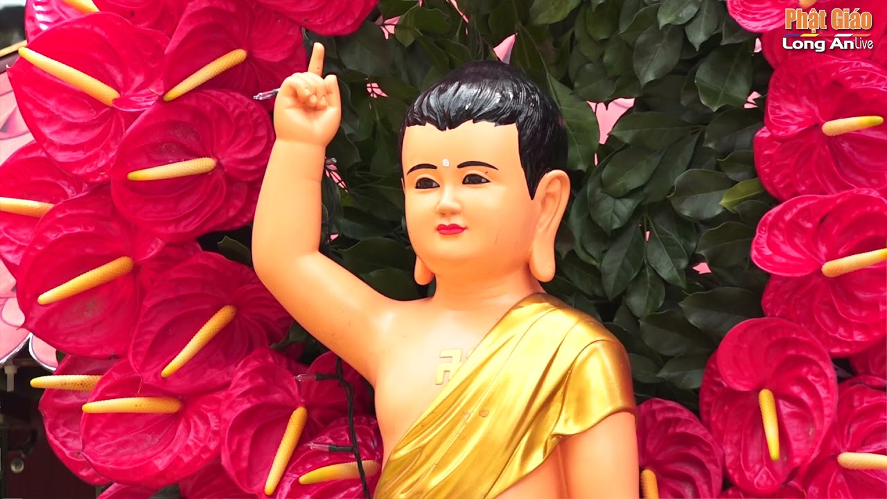 Không khí đón mừng Phật đản PL: 2565 Phật giáo tỉnh Long An