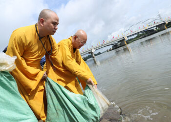 Ban Trị sự  Giáo hội Phật giáo Việt Nam tỉnh Long An phối hợp với Sở Nông nghiệp và Phát triển Nông thôn tỉnh Long An thả 800kg cá giống phóng sinh