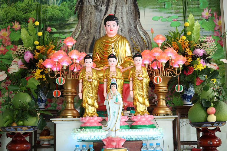 Thuận Mỹ: Công bố thành lập & Bổ nhiệmTrụ trì Tịnh Xá Ngọc Thanh