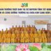 Ban Thường trực BTS GHPGVN tỉnh thăm và cúng dường Trường hạ chùa Kim Cang